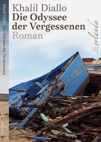 Die Odyssee der Vergessenen (afrika bewegt): Roman