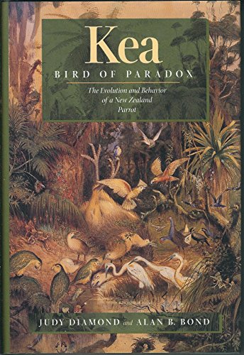 Kea, Bird of Paradox: The Evolution and Behavior of a New Zealand Parrot von University of California Press