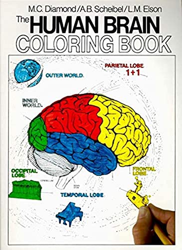 The Human Brain Coloring Book: A Coloring Book (Coloring Concepts) von Collins Reference