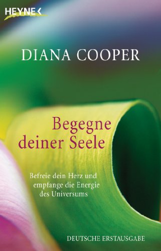 Begegne deiner Seele: Befreie dein Herz und empfange die Energie des Universums Begegne deiner Seele: Befreie dein Herz und empfange die Energie des Universums