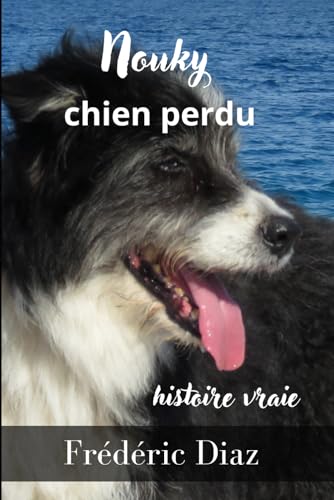 Nouky chien perdu