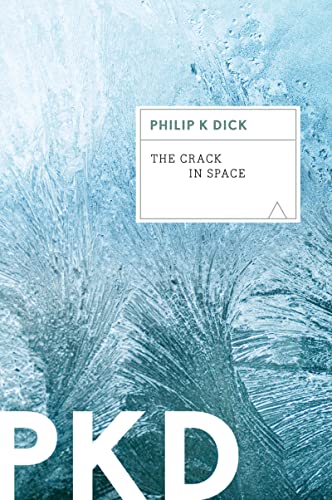 The Crack in Space von Mariner Books