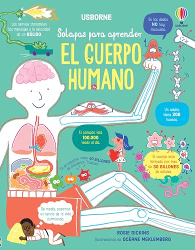 El cuerpo humano (Solapas para aprender)