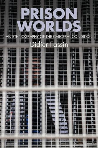 Prison Worlds: An Ethnography of the Carceral Condition von Polity