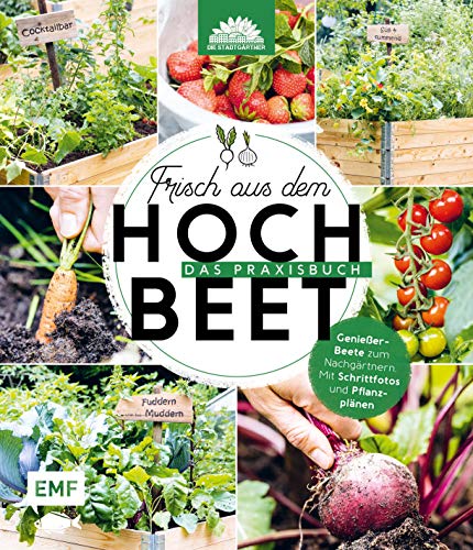 Frisch aus dem Hochbeet – Das Praxisbuch: Genießer-Beete zum Nachgärtnern. Mit Schrittfotos und Pflanzplänen