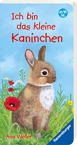 Ich bin das kleine Kaninchen Ich bin das kleine Kaninchen