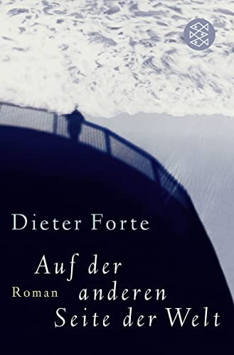 Auf der anderen Seite der Welt: Roman
