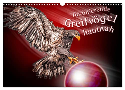 Faszinierende Greifvögel hautnah (Wandkalender 2024 DIN A3 quer), CALVENDO Monatskalender
