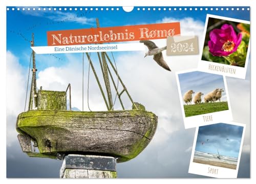Naturerlebnis Rømø (Wandkalender 2024 DIN A3 quer), CALVENDO Monatskalender von CALVENDO