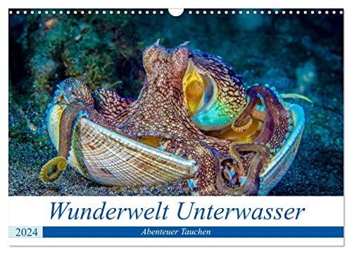 Wunderwelt Unterwasser (Wandkalender 2024 DIN A3 quer), CALVENDO Monatskalender