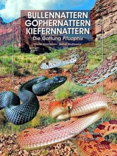 Bullennattern, Gophernattern & Kiefernnattern: Die Gattung Pituophis