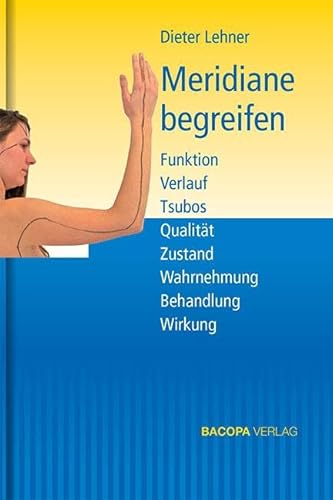 Meridiane begreifen.: Funktion Verlauf Tsubos Qualität Zustand Wahrnehmung