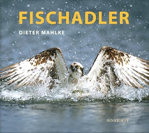 Fischadler von Hinstorff