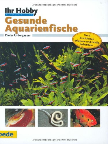 Gesunde Aquarienfische, Ihr Hobby