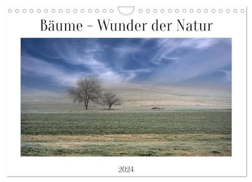 Bäume - Wunder der Natur (Wandkalender 2024 DIN A4 quer), CALVENDO Monatskalender von CALVENDO