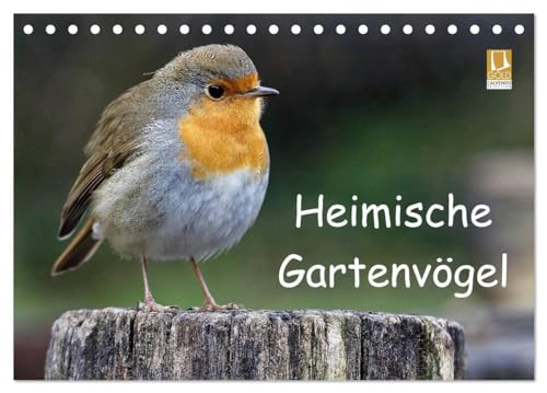 Heimische Gartenvögel (Tischkalender 2025 DIN A5 quer), CALVENDO Monatskalender: Wunderschöne Aufnahmen, die die Pracht, Vielfalt und Einzigartigkeit ... für jeden Vogelliebhaber. (CALVENDO Tiere) von CALVENDO