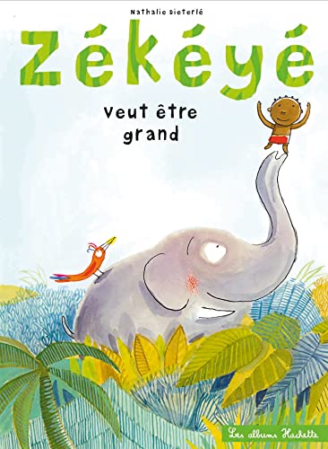 Zékéyé veut etre grand von HACHETTE ENFANT
