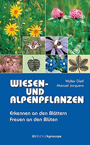 Wiesen- und Alpenpflanzen: Erkennen an den Blättern Freuen an den Blüten