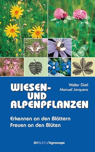 Wiesen- und Alpenpflanzen: Erkennen an den Blättern Freuen an den Blüten