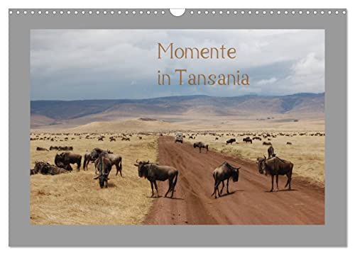Momente in Tansania (Wandkalender 2024 DIN A3 quer), CALVENDO Monatskalender von CALVENDO