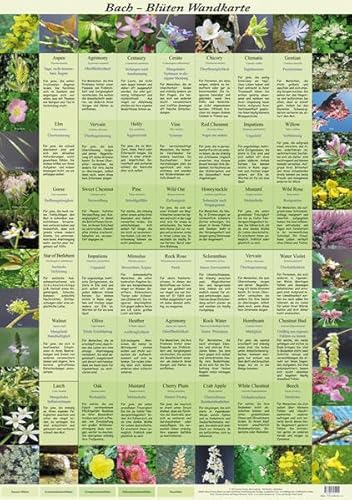 Bach Blüten Wandkarte