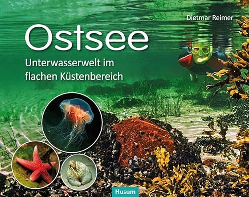 Ostsee: Unterwasserwelt im flachen Küstenbereich Kattegatt - Kleiner Belt - Westliche Ostsee von Husum