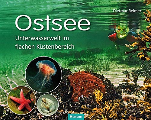 Ostsee: Unterwasserwelt im flachen Küstenbereich Kattegatt - Kleiner Belt - Westliche Ostsee Ostsee: Unterwasserwelt im flachen Küstenbereich Kattegatt - Kleiner Belt - Westliche Ostsee von Husum