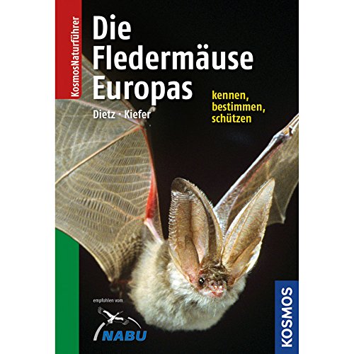 Naturführer Fledermäuse Europas: Alle Arten erkennen und sicher bestimmen