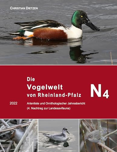 Die Vogelwelt von Rheinland-Pfalz N4: 2022 Artenliste und Ornithologischer Jahresbericht (4. Nachtrag zur Landesavifauna)