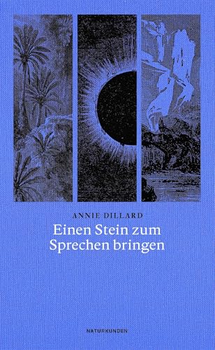 Einen Stein zum Sprechen bringen (Naturkunden) von Matthes & Seitz Verlag