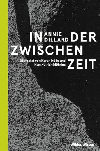In der Zwischenzeit (Bibliothek Wildes Wissen) von Matthes & Seitz Verlag