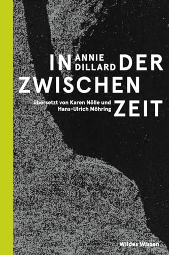 In der Zwischenzeit (Bibliothek Wildes Wissen) von Matthes & Seitz Berlin