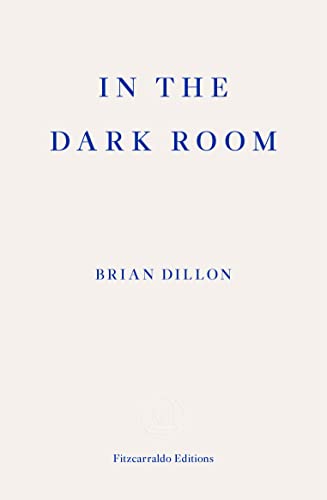 In the Dark Room von Fitzcarraldo Editions