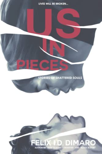 Us in Pieces: Stories of Shattered Souls