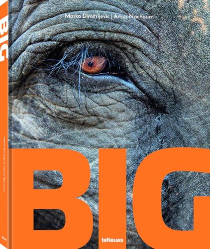 BIG: A Photographic Album of the World's Largest Animals von teNeues