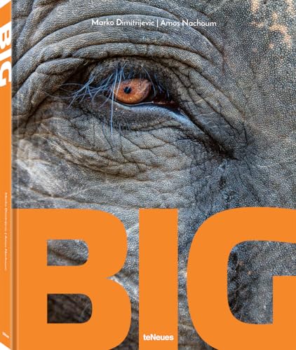 BIG: A Photographic Album of the World's Largest Animals