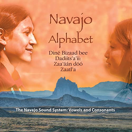 Navajo Alphabet: The Navajo Sound System: Vowels and Consonants (Diné bizaad bíhoosh’aah!, Band 1) von CREATESPACE