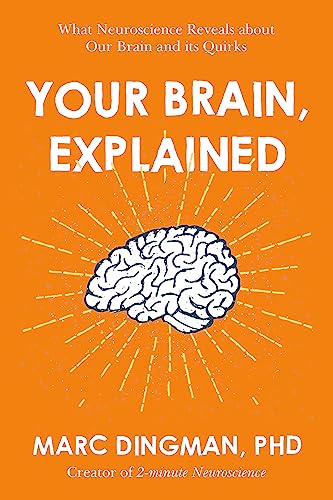 Your Brain, Explained: What Neuroscience Reveals About Your Brain and Its Quirks