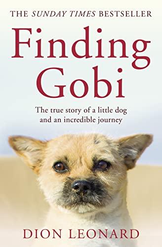 Finding Gobi (Main edition): The true story of a little dog and an incredible journey von HarperCollins Publishers