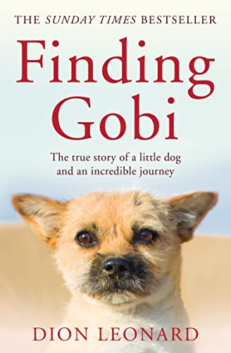 Finding Gobi (Main edition): The true story of a little dog and an incredible journey von HarperCollins