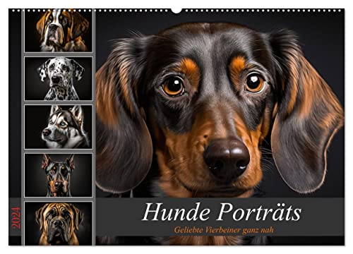 Hunde Porträts (Wandkalender 2024 DIN A2 quer), CALVENDO Monatskalender