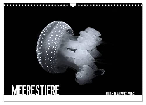 Meerestiere Bilder in Schwarz Weiss (Wandkalender 2024 DIN A3 quer), CALVENDO Monatskalender