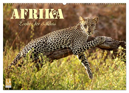 Afrika - Zauber der Wildnis (Wandkalender 2024 DIN A2 quer), CALVENDO Monatskalender