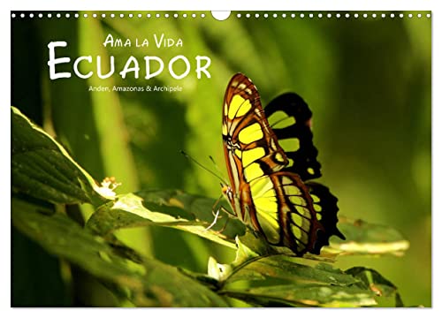 Ama la Vida Ecuador (Wandkalender 2024 DIN A3 quer), CALVENDO Monatskalender von CALVENDO
