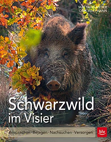 Schwarzwild im Visier: Ansprechen Bejagen Nachsuchen Versorgen (BLV Jagdpraxis)