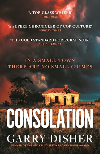 Consolation: Constable Hirsch Mysteries 3 (The Paul Hirsch mysteries)