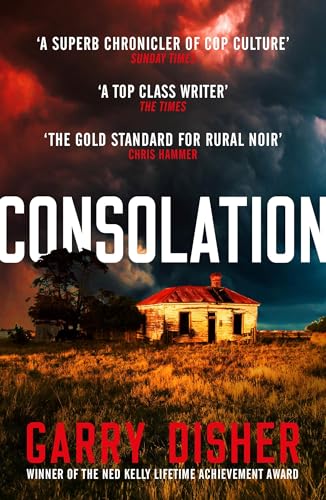 Consolation: Constable Hirsch Mysteries 3 (The Paul Hirsch mysteries)