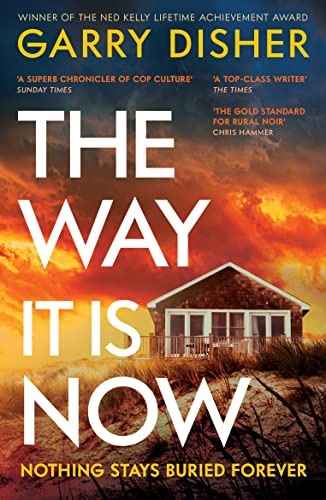 The Way It Is Now: a totally gripping and unputdownable Australian crime thriller von Profile Books