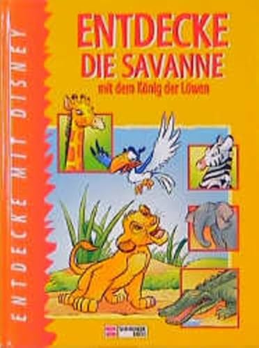Entdecke die Wüste mit dem König der Löwen Entdecke die Wüste mit dem König der Löwen