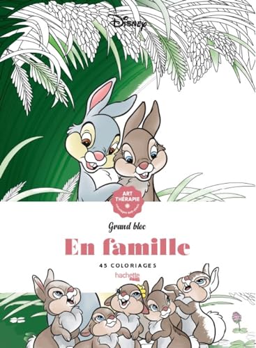 Disney En famille: 60 coloriages anti-stress